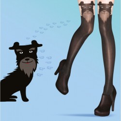 Collants chien